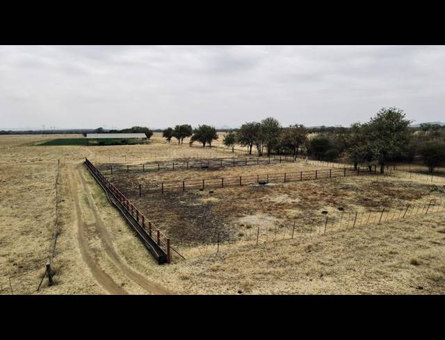 FARM FOR SALE IN THABAZIMBI RURAL